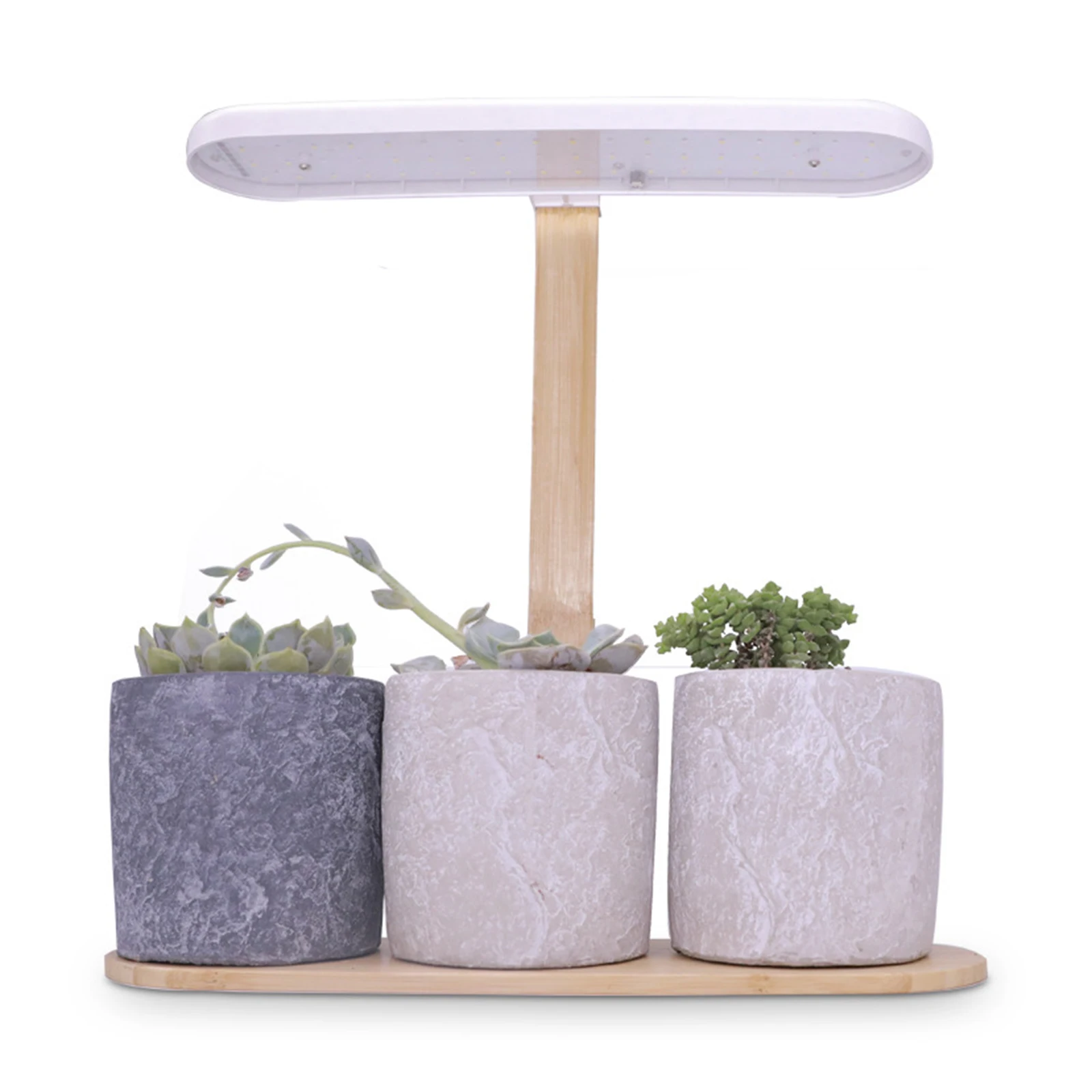 Linterna para crecimiento de plantas, brillo de altura ajustable, 30W, 12V, 900lm, lámparas LED de crecimiento para suculentas, verduras de invernadero