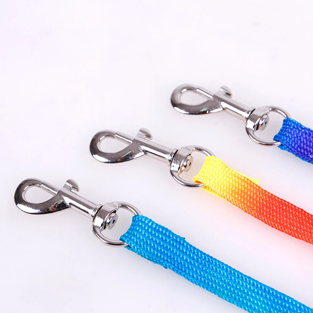 

Rainbow Color Pet Harness Leash Puppy Harness Leash Comfortable Walking Traction Rope For Puppy Cat 1.0Cm Size