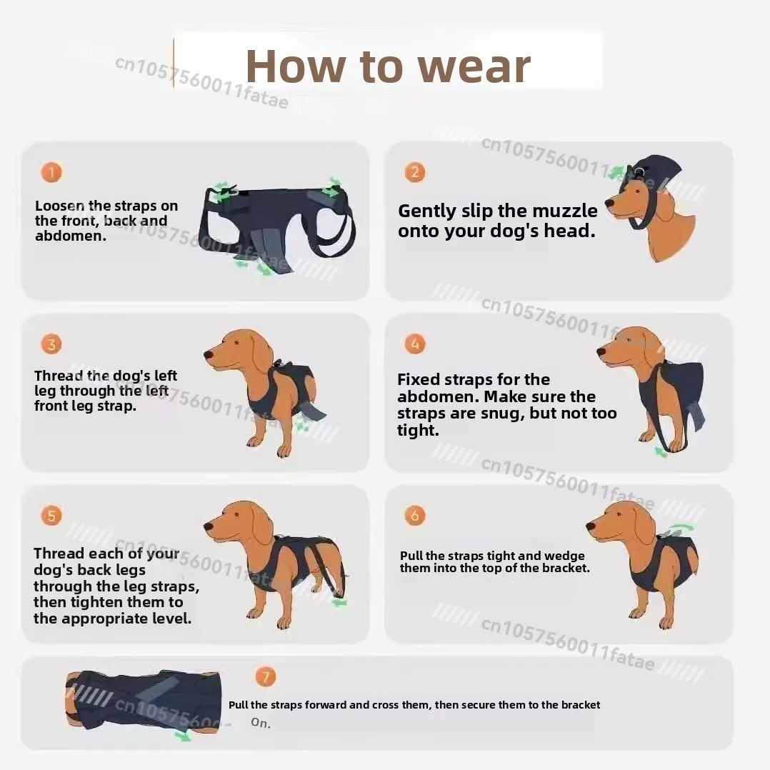 حزام العمود الفقري للحيوانات الأليفة، دعامة تثبيت خلفية للكلاب #2