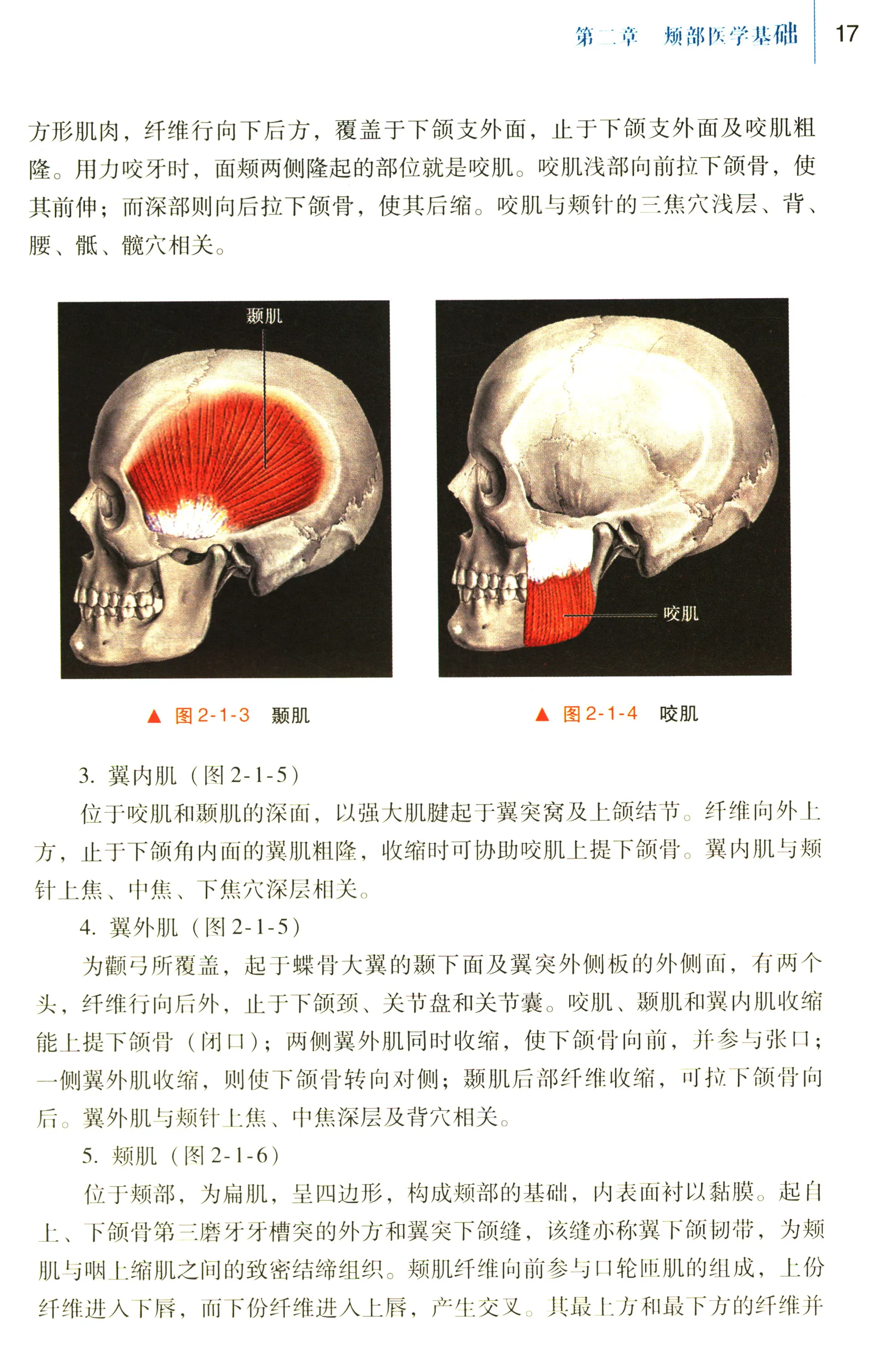 Imagem -03 - Medicina Tradicional Chinesa Livros Acupuntura Terapia 28 Páginas