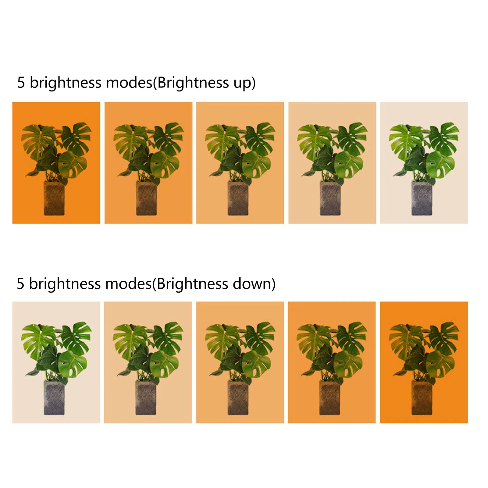 Luz de cultivo de plantas, 4 cabezales, enchufe USB, función de temporizador regulable, luz LED de cultivo de espectro completo para suculentas