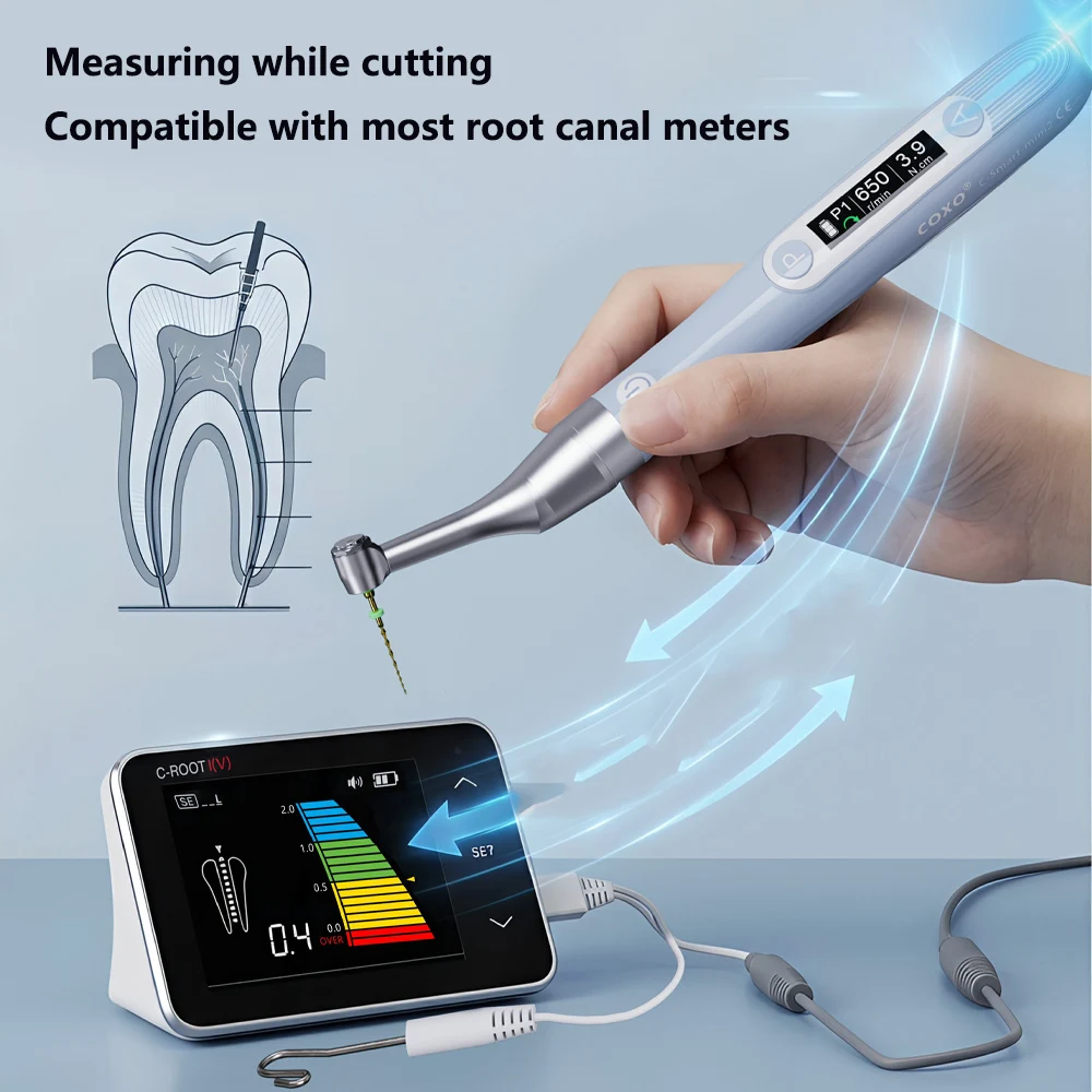 COXO C-SMART MINI2 Dental Endo Motor Dental Root Canal Preparation Machine with Bending Machine Speed Ratio 6:1 Head