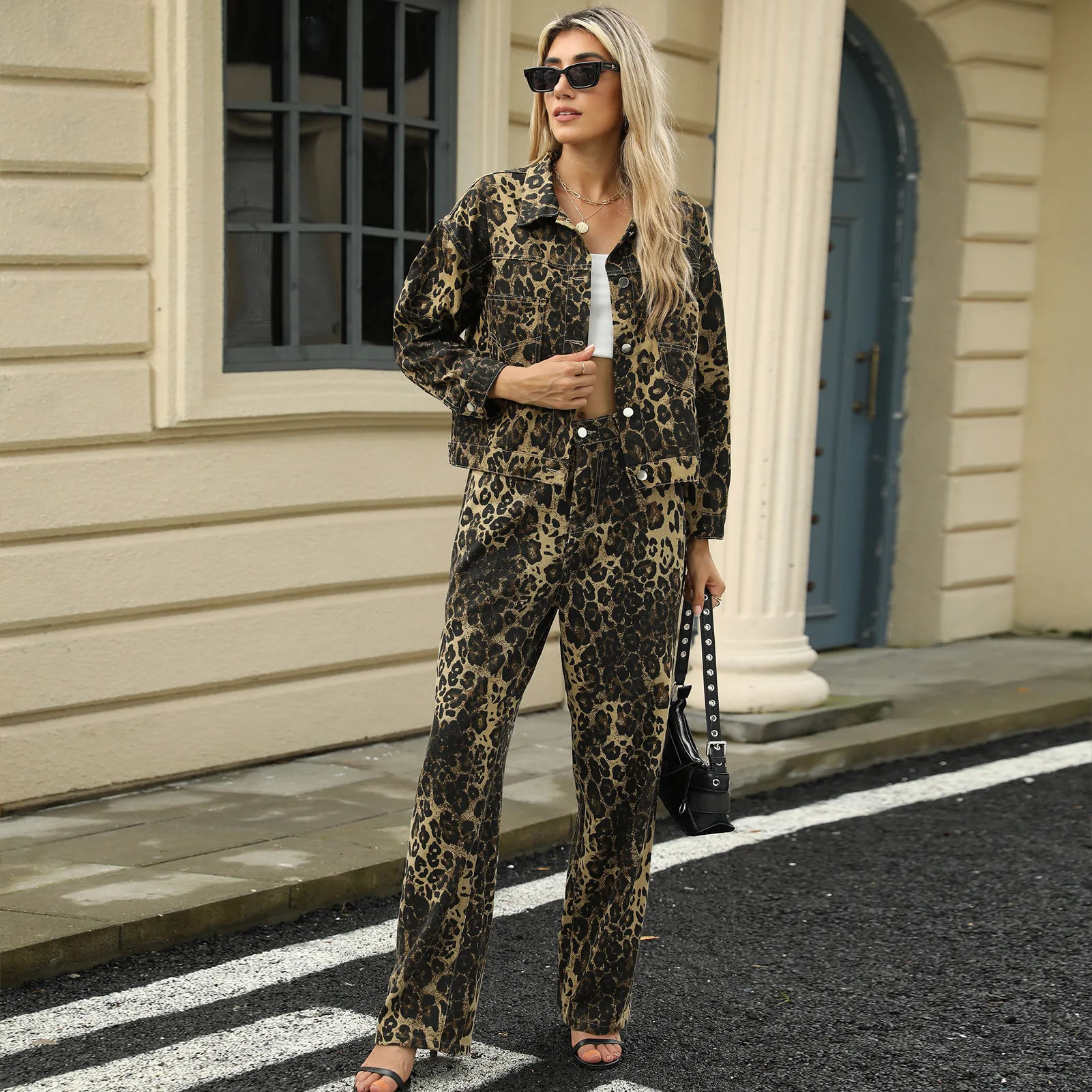 

Pant Set Women Two Piece Sets Turn Down Collar Leopard Print Matching Sets Coats Long Pants High Waist Y2k Streetwear Elegant