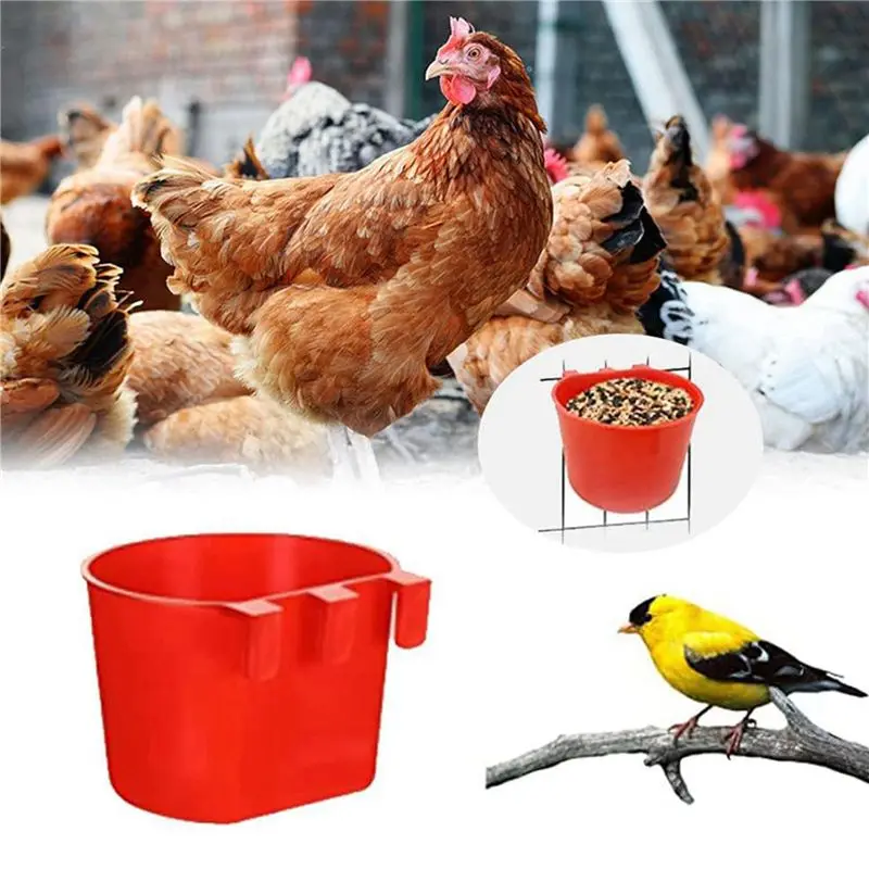 BAAG-60Pcs Chickens Feeders For Cage,Hanging Chicken Water Feeder Cup, Plastic Birds Feeders Seed Bowl, Chicken Feeder