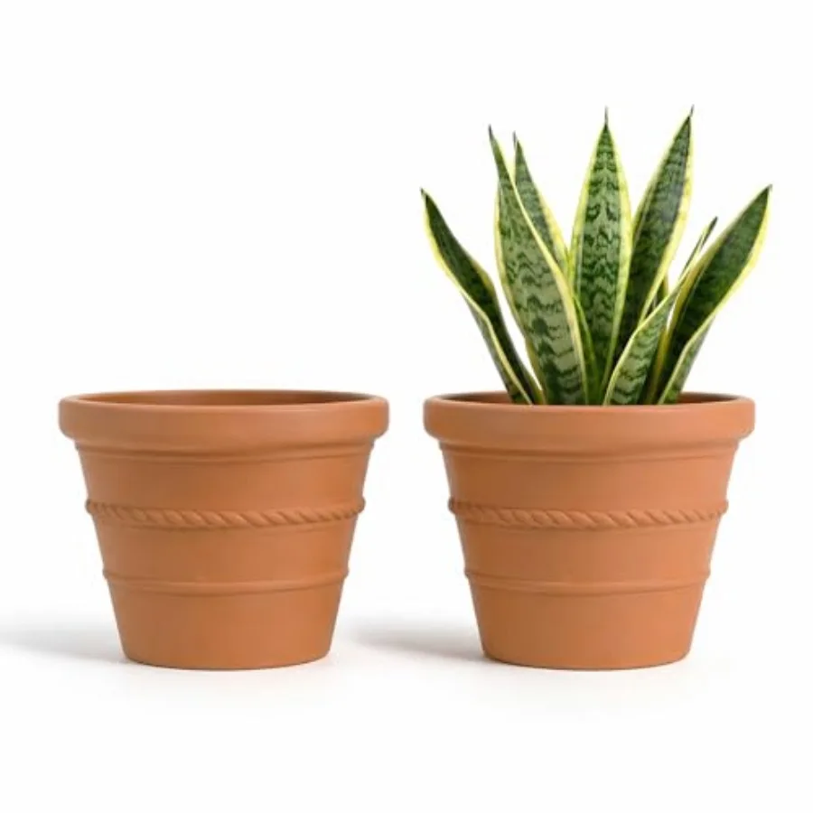 

Pack 8 Inch Terracotta Pots for Plants, Decorative Terracotta Planter, Classic Rope Pattern Clay Flower Pot, Round Terra Cotta