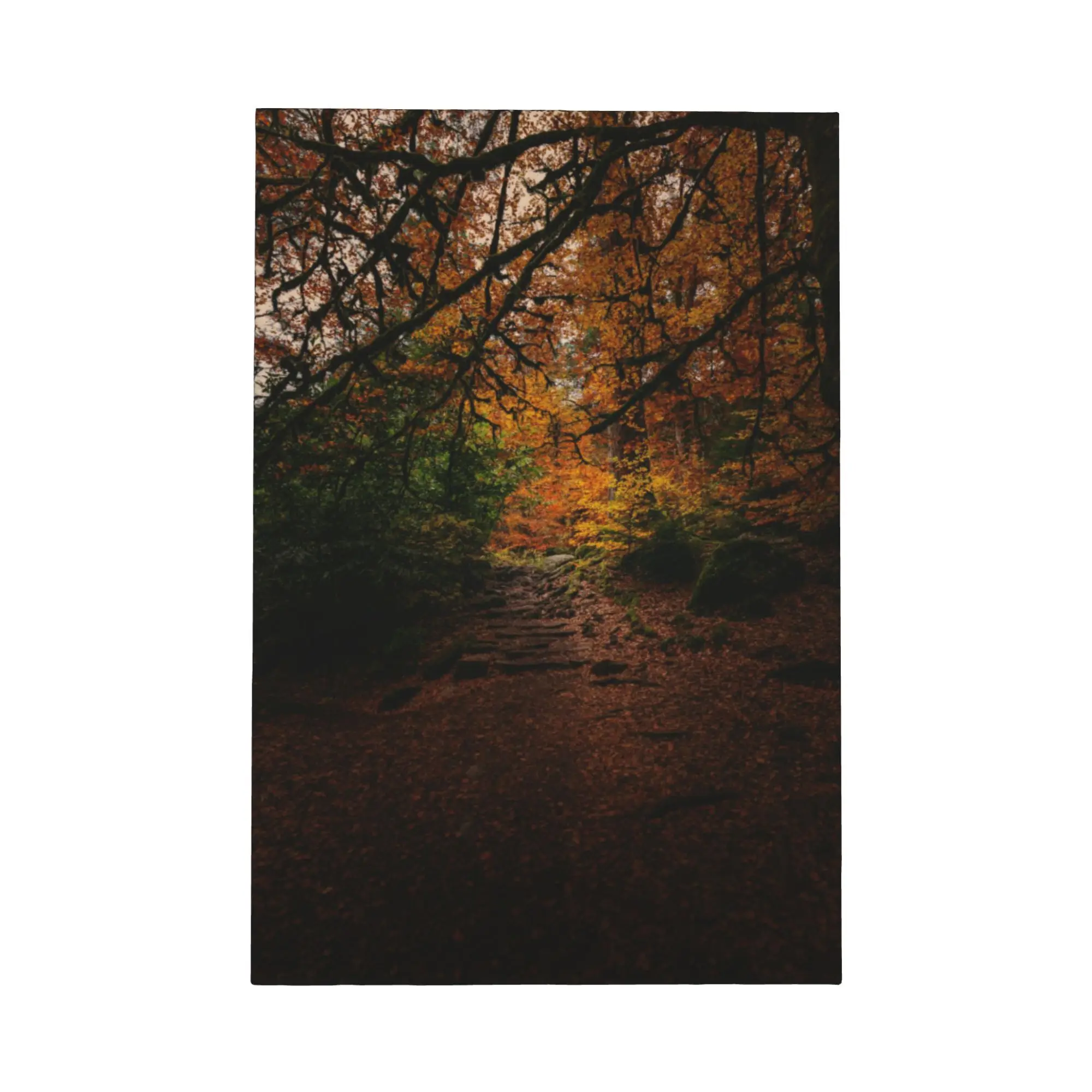 

Японское осеннее дерево на подкладке, холст в рамке, настенное искусство, потрясающий осенний лист, живописный принт, постер с лесной дорожкой