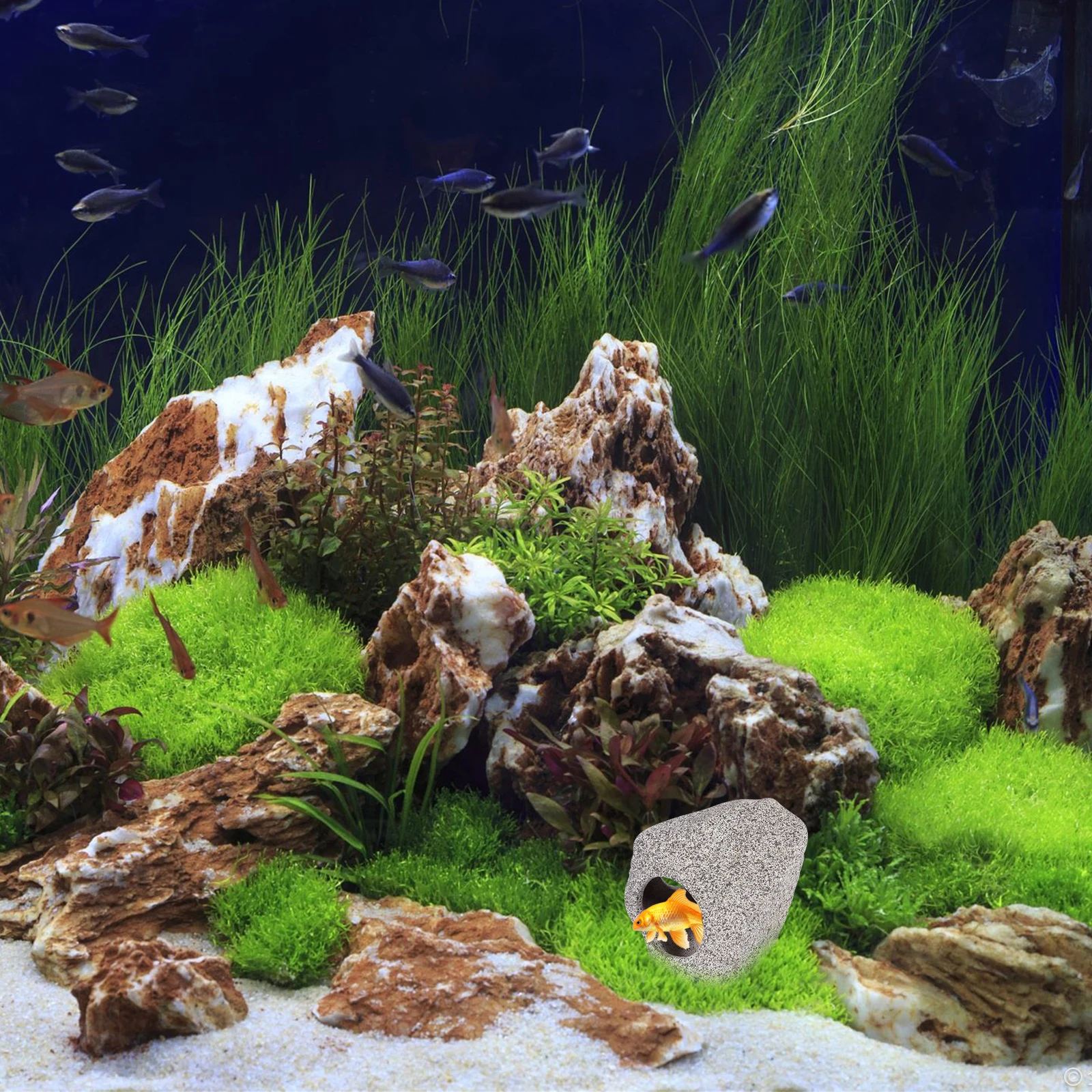 

Creative Ceramic Fish Hiding Cave Shrimp Tank Shelter Aquarium Rest House Betta Guppy Snail Water Cleaning Nitrifying Bacteria