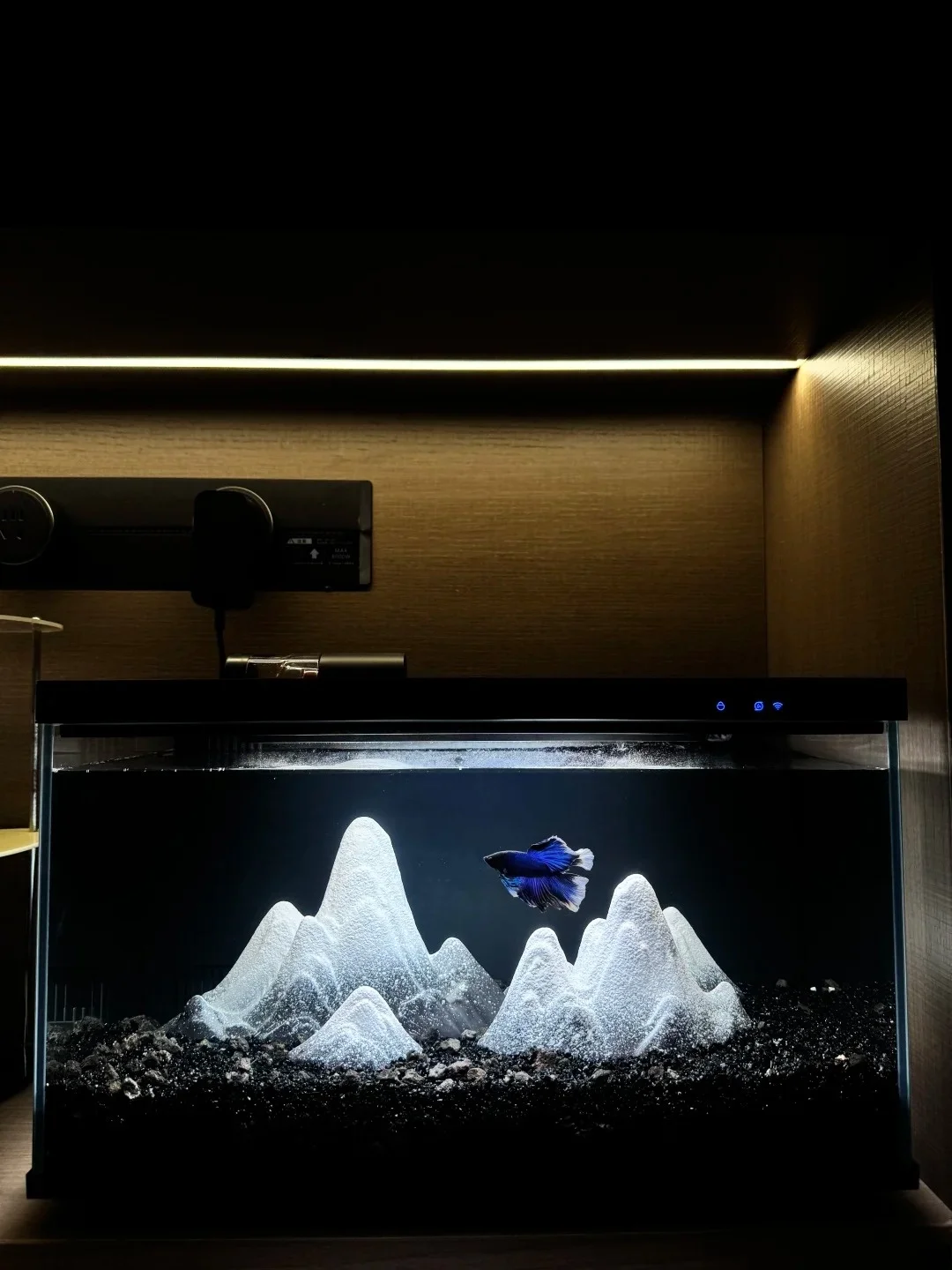 

Аквариум, украшение в виде горного лаза, черный золотой песок, белый тонкий песок, маленький лак-бот, принадлежности, поддельные горные аксессуары