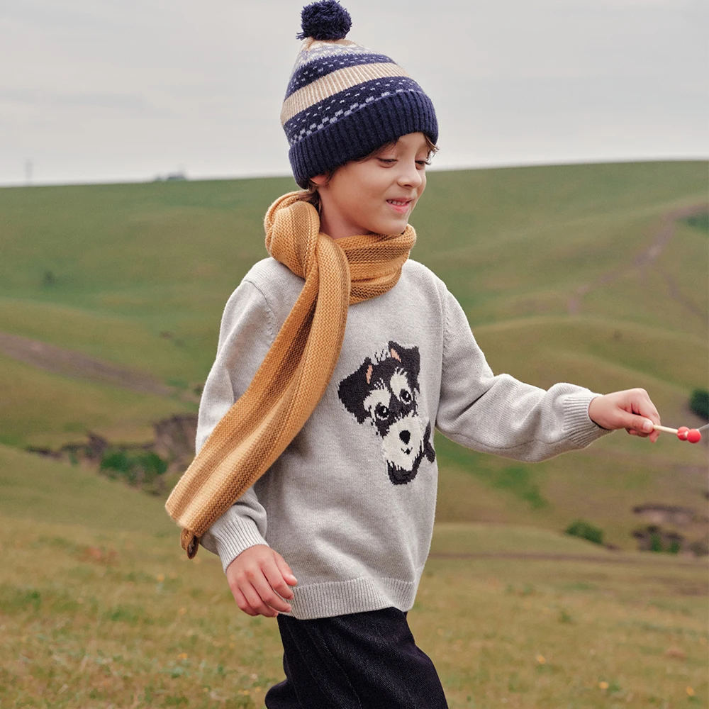 Dave Bella Boys Winter Warm Knitted Wool Sweater Aged 6-13 Years Teen Kids Cashmere Knitwear Pullover Long Sleeve Top DK4264804