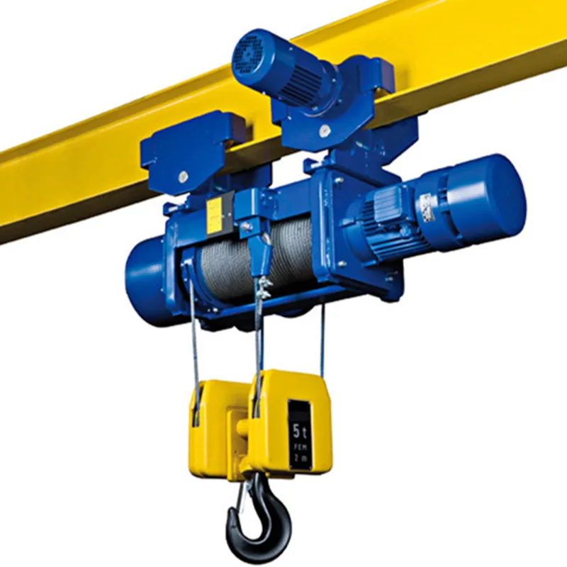 

Bigger Capacity Electrical Wire Rope Hoist in China Tavol