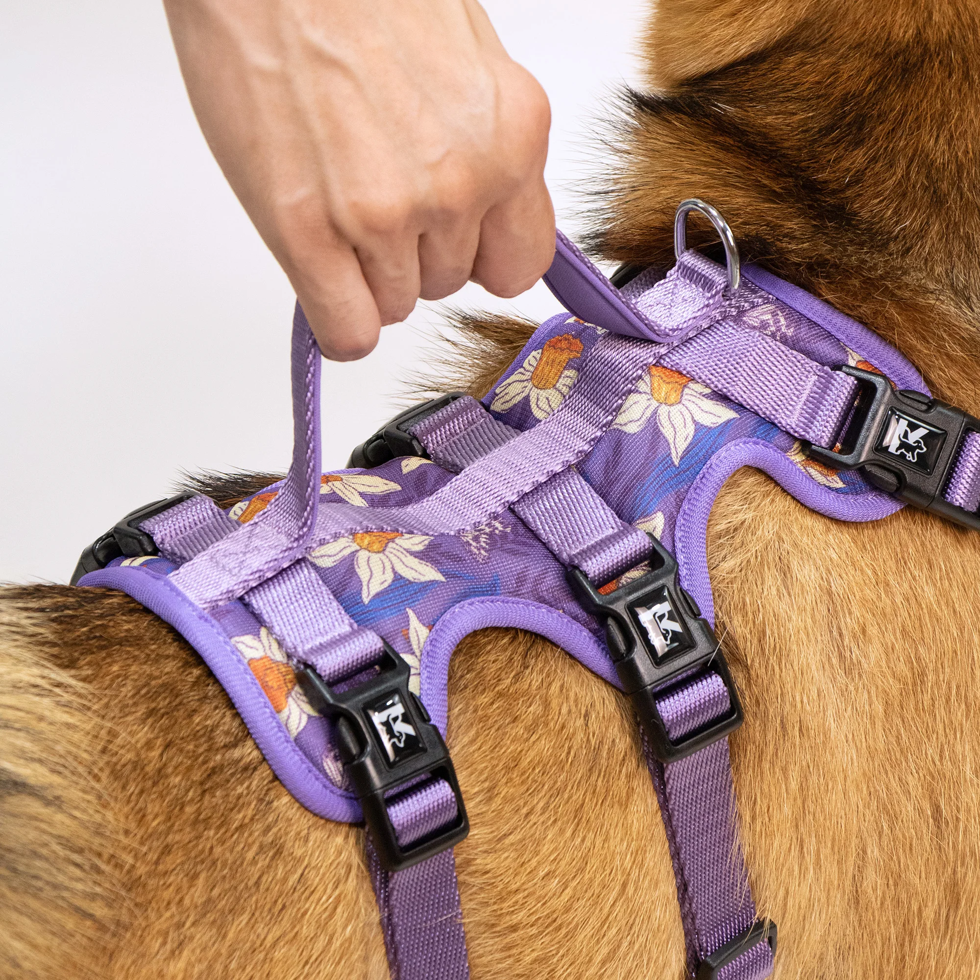 Adjustable Printed Dog Harness 4