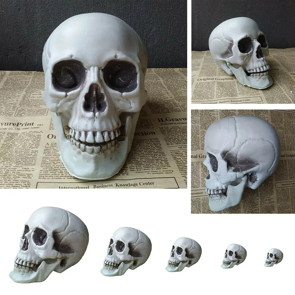 Zdjęcie 5: Wysokiej jakości ludzka czaszka szkielet głowy wszystkie rozmiary styl halloweenowy rekwizyt fotograficzny straszny wiszący wystrój dekoracja na imprezę domową akcesoria do gier