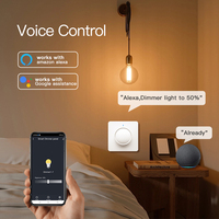 Smart Switch Rotary Light Dimmer EU WIFI ZigBee Brightness Memory Smart Life/Tuya APP Remote Control Works with Alexa Google