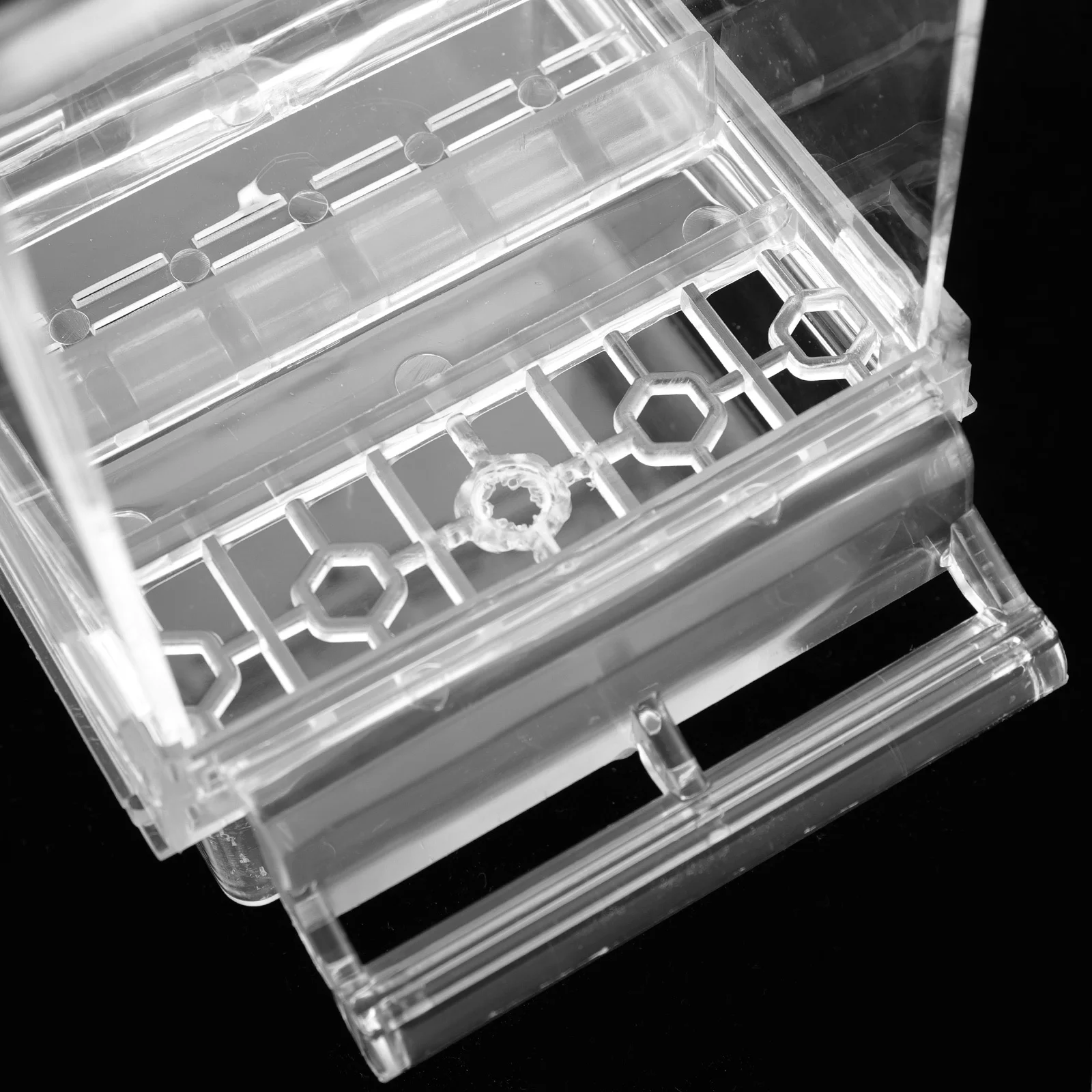 

Automatic Bird Feeder Clear Acrylic Durable Food Container Cage Mounted for Parrots Small Birds Foraging Feeder