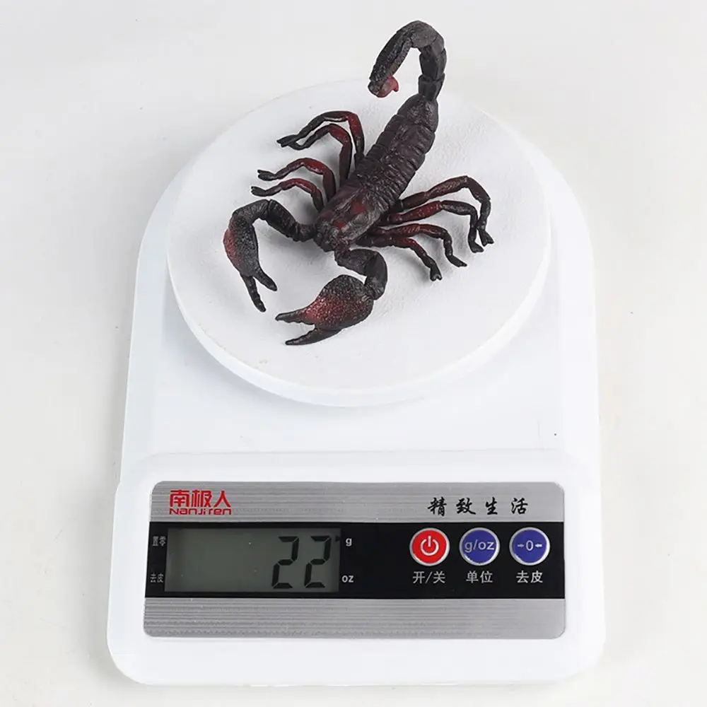 Regalo juguete educativo ciencia naturaleza suministros de Halloween modelo de escorpión estatuilla de insecto cognición para niños