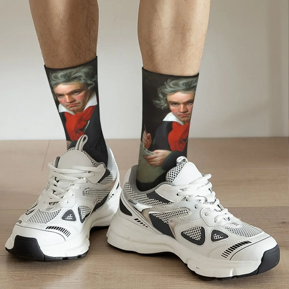 Ludwig Van Beethoven Socks Harajuku Super Soft Stockings All Season Long Socks Accessories for Unisex Gifts