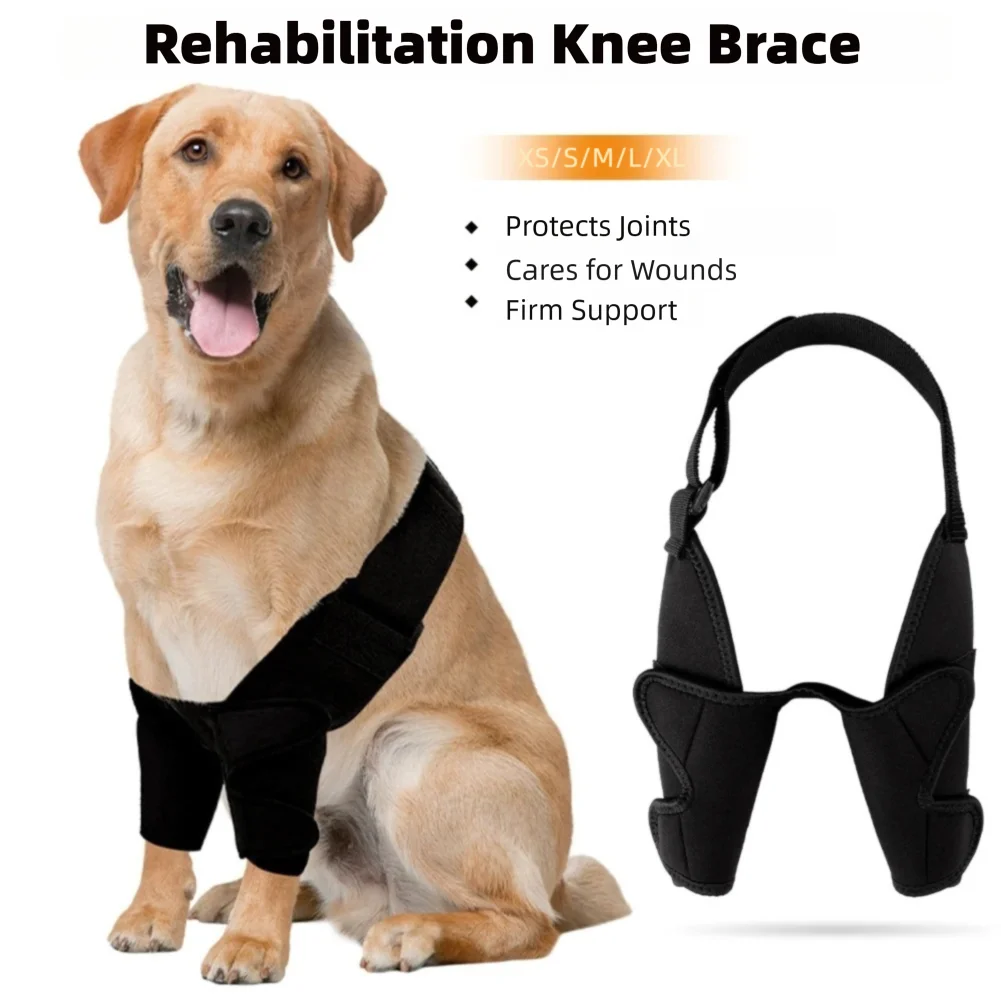 

Dog Joint Wrap Full Elbow Brace Protector for All Dog Breed for Canine Elbow Shoulder Elbow Front Leg Brace Leg Knee Protectors