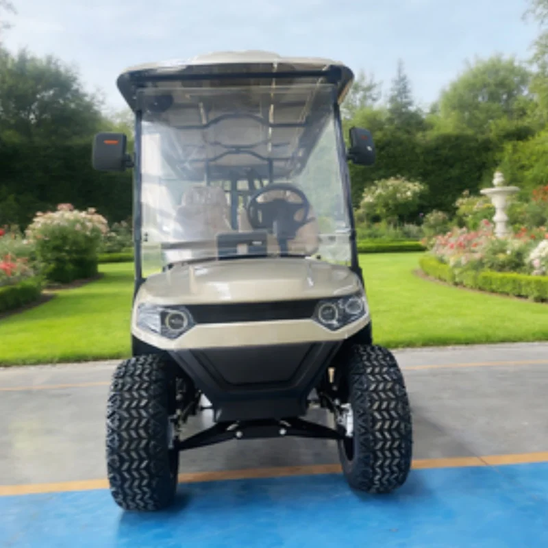 

Электрический гольф-кар 5 кВт, 60 В, 6-местный, семейная модель, с обивкой сидений, алюминиевыми колесами, кожаным сиденьем и подголовником