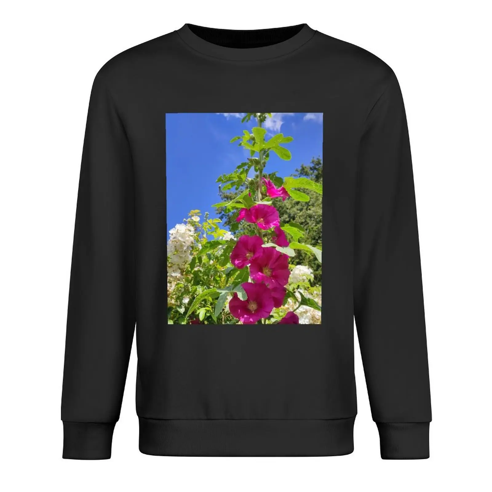 

Hollyhocks, ex France now resettled in the UK Pullover aesthetic clothing men's sweat-shirt sweatshirt for men