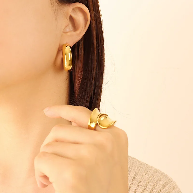 Ins Style Ornament U-Shaped Geometric Earrings for Women 2023 New Non-Fading Temperament Titanium Steel Gold-Plated Stud Earring