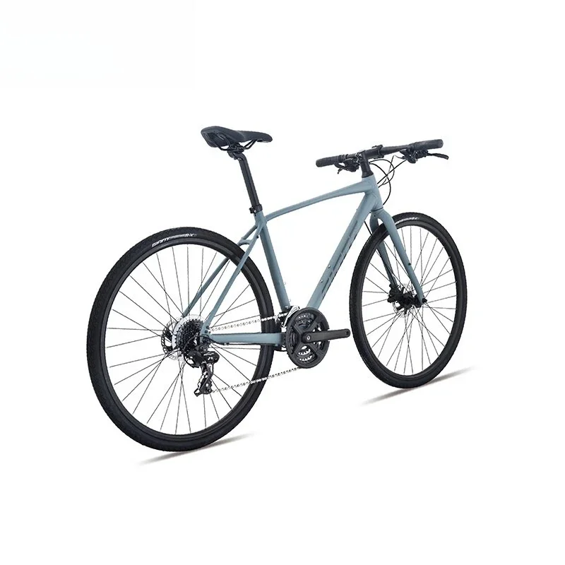 Fitness flat handlebar road bike