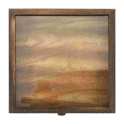Specimen Display Case Wooden Specimen Collection Box Insects Specimen Storage Case with EVA Pad