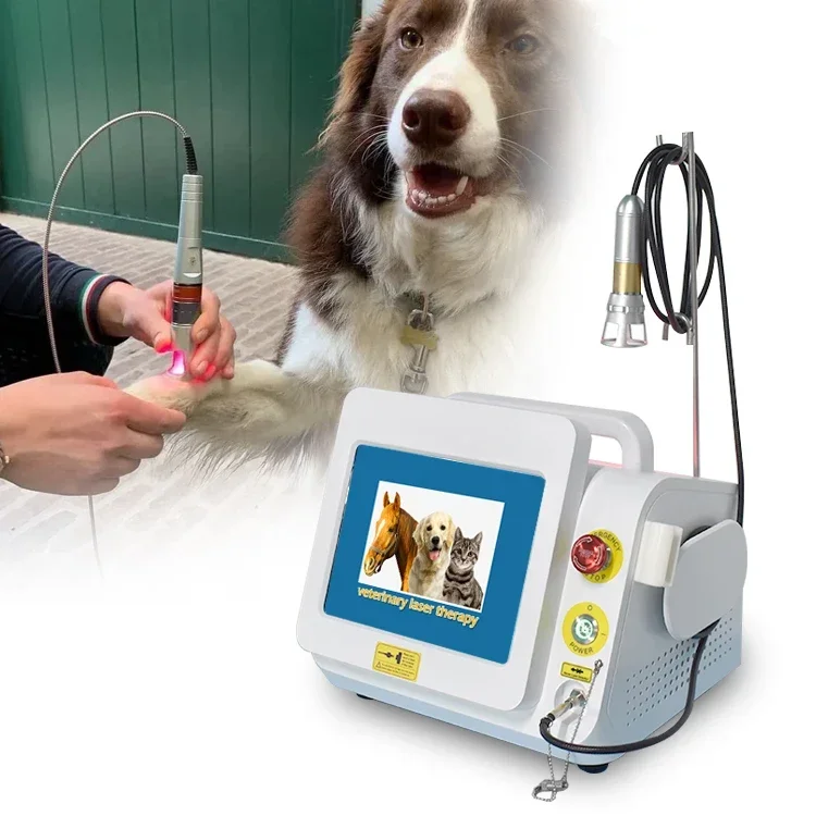 Diode laser 980nm pet hospital 60w class iv physiotherapy veterinary therapeutic laser equipment