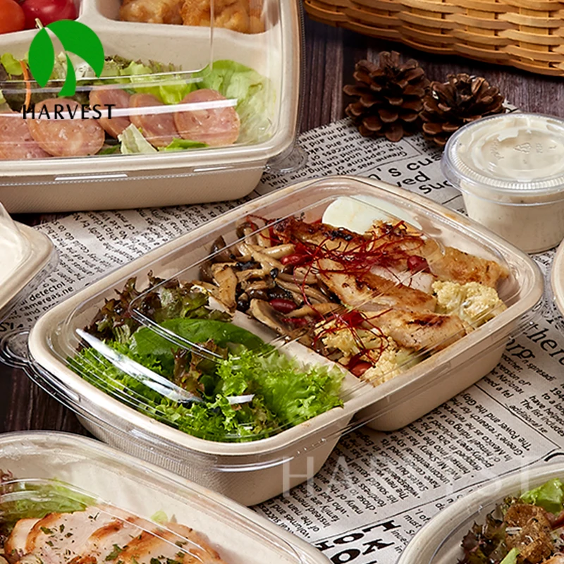 10 00piece.Custom.32oz Rectangular Biodegradable Takeaway Food Container Sugarcane Bagasse Packaging Lunch Box