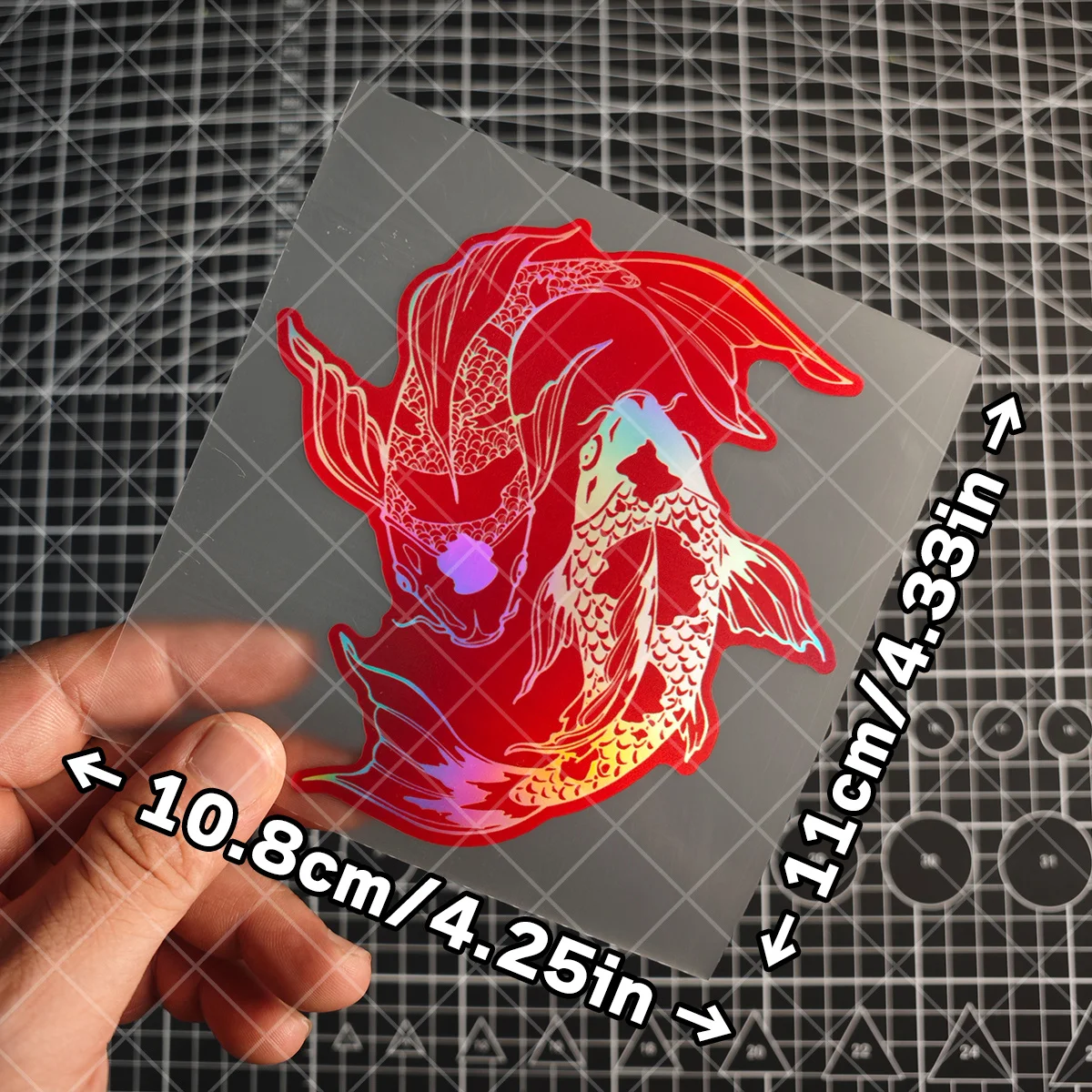 1 piece of red and white goldfish (paradise fish) for display. Japanese style. Lucky goldfish sticker