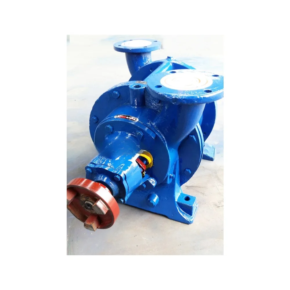 Electric circulating water vacuum pump