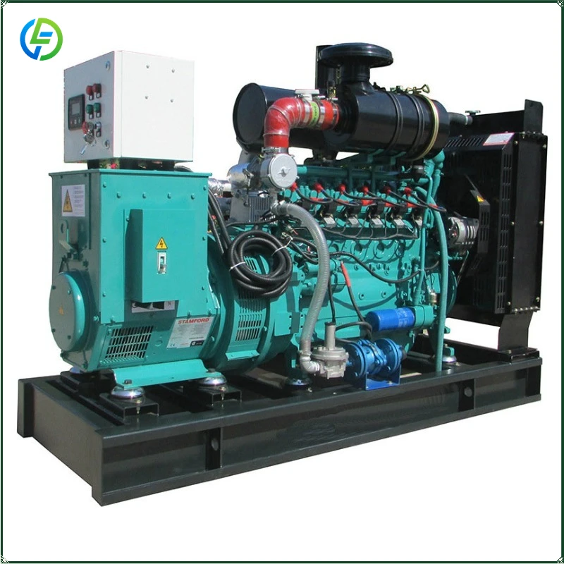 Multiple Power Multiple Models Small Natural Gas Generator FL Customized