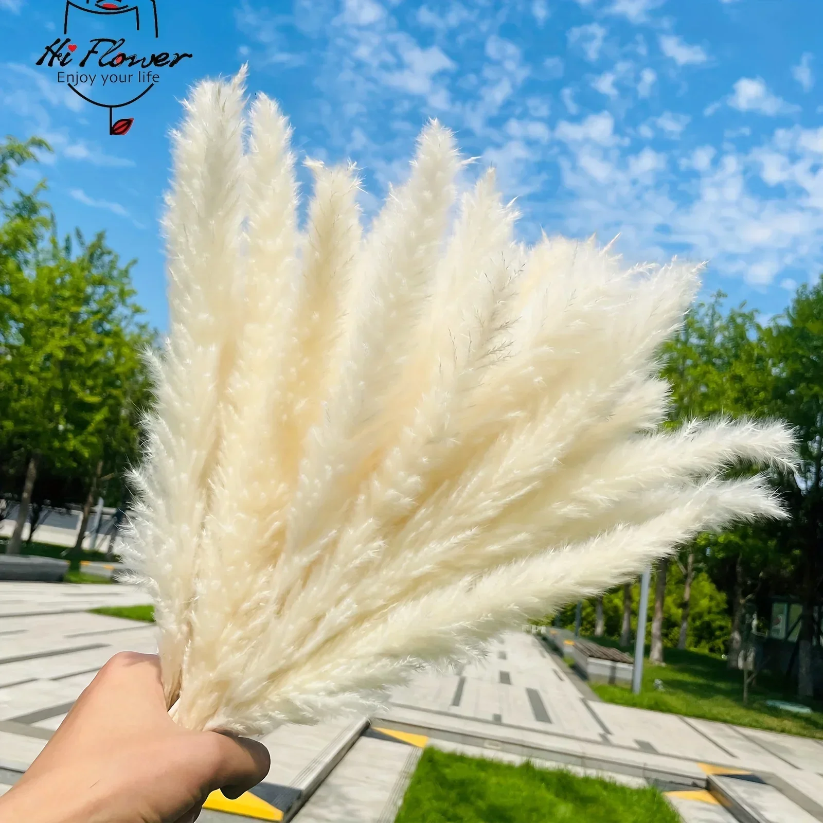 

15pcs Natural Fluffy Pampas Grass Dried Flowers Country Photo Props Decor Artificial Flower Pampa Boho Wedding Home Decoration