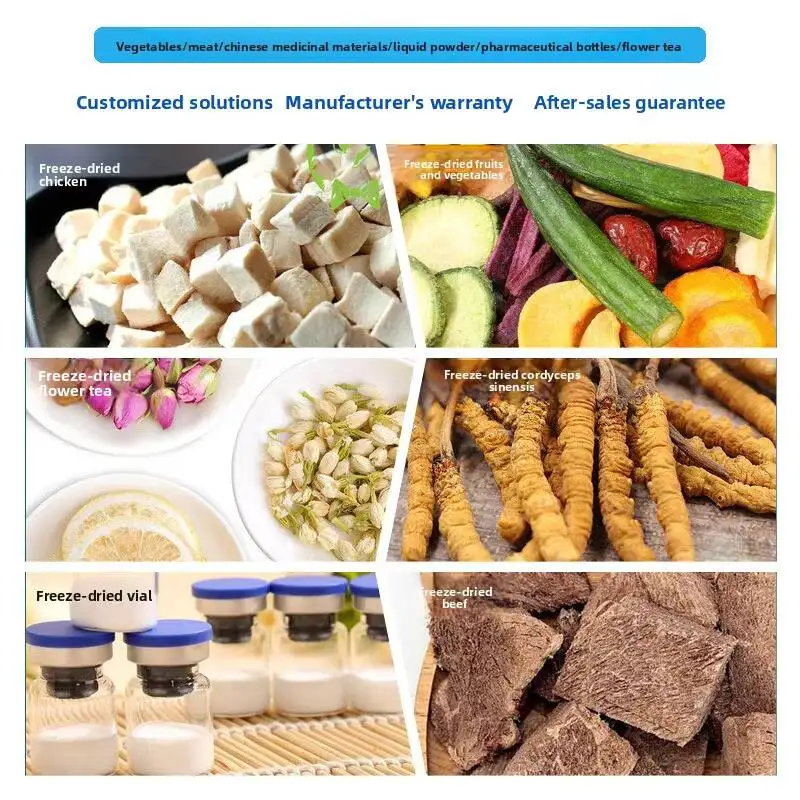 

Household Vacuum Dryer For Fruits, Tea, Pet Food, Cordyceps, Small Freeze Drying Machine Equipment Manufacturer