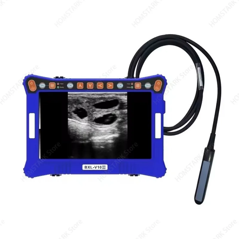 V10 Veterinary Ultrasound Scanner, 21 Days Early Pregnancy Detector, Portable Vet B-Ultra Machine for Farm Animals