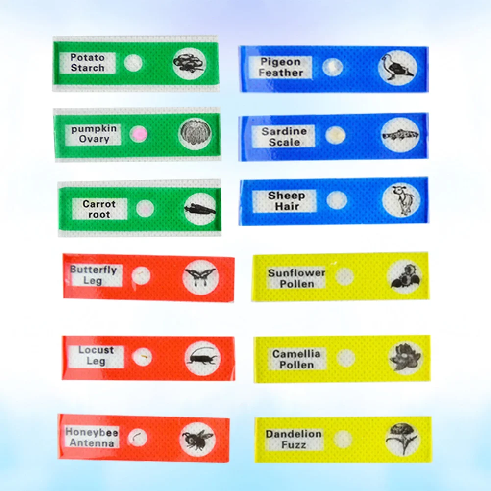 12 個のプラスチック製生物標本スライド子供用教育科学キットアソートカラー小学校中学校
