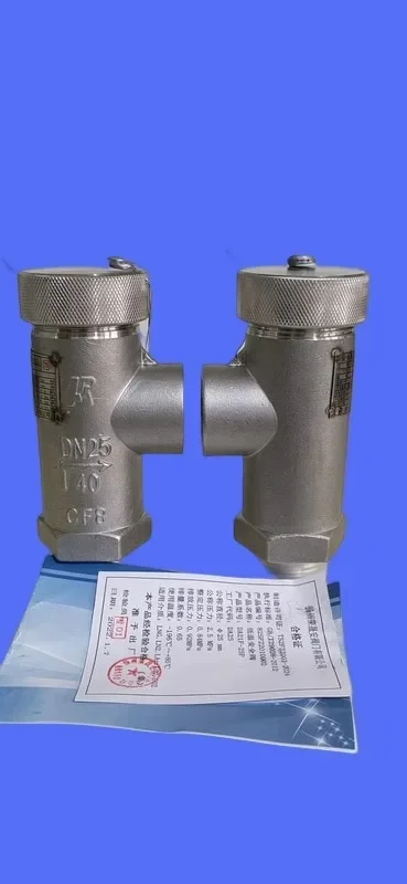 Yangzhou Rongsheng'an Low Temperature Valve Low Temperature Stainless Steel Safety Valve DA22F-25/40P DA21F-25/40P