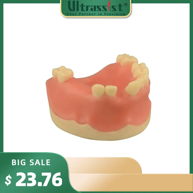 

Ultrassist Dental Sinus Lifting & Implant Placement Practice Model, Basic Implant Training Model with Practice Soft Gums