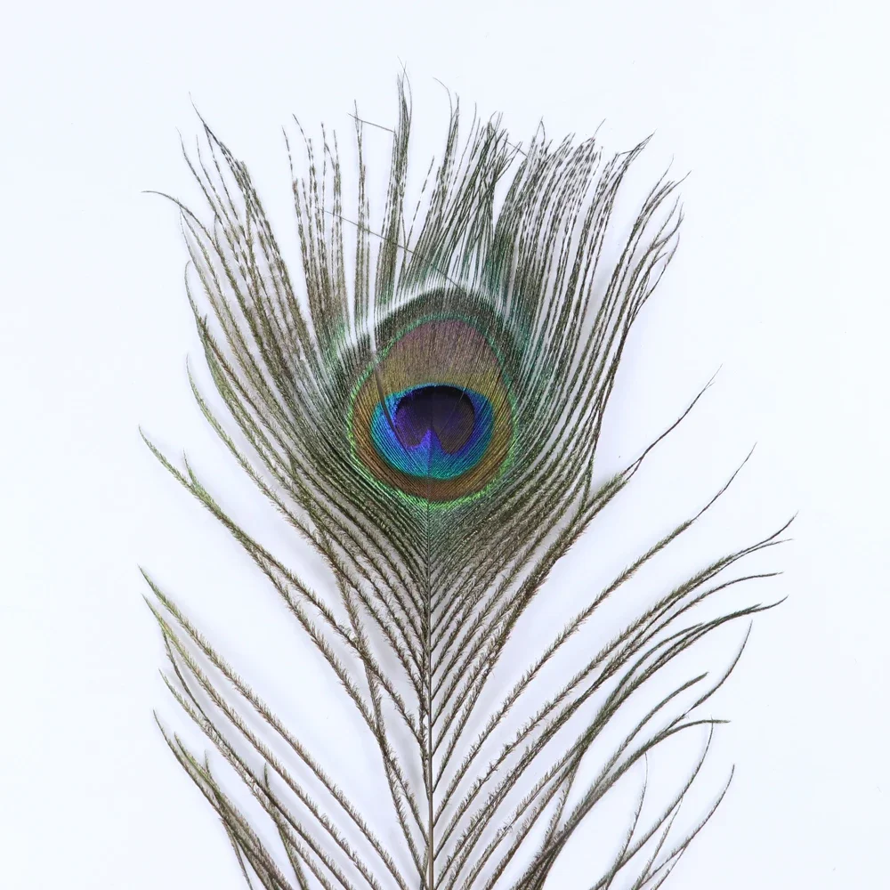 Wholesale 10PCS Natural Big Eyes Peacock feather 25-80CM High Quality feathers for party Home Decorative Peacock Plume