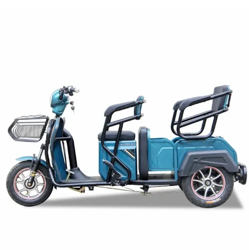 

3 Wheel Bicycle Bike Elderly New E-Trike Electric Three Wheel Electric Scooter Tricycle with Roof