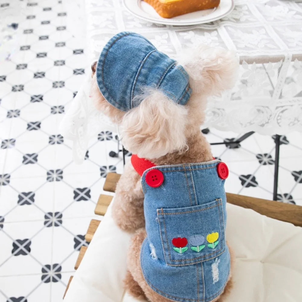 Autumn Winter Embroidered Denim Skirt Plush Pet Clothes Cat and Dog Clothes Teddy Bear Coat Hat Dog Christmas Clothes Dog Dress