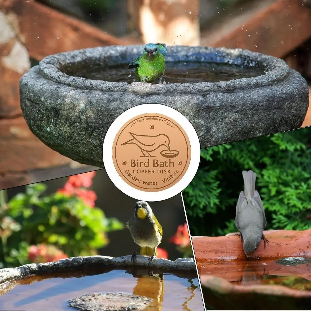 Triple-Point Support Mellbree Bird Bath Copper Disk 0.6mm Reinforced Physical Safe Clean Bird Bath Copper Disk
