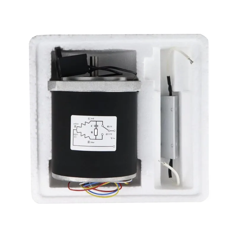 Permanent Magnet Low Speed Synchronous Motor 90 Motor Single Phase Motor 220V 60rpm 90TDY115