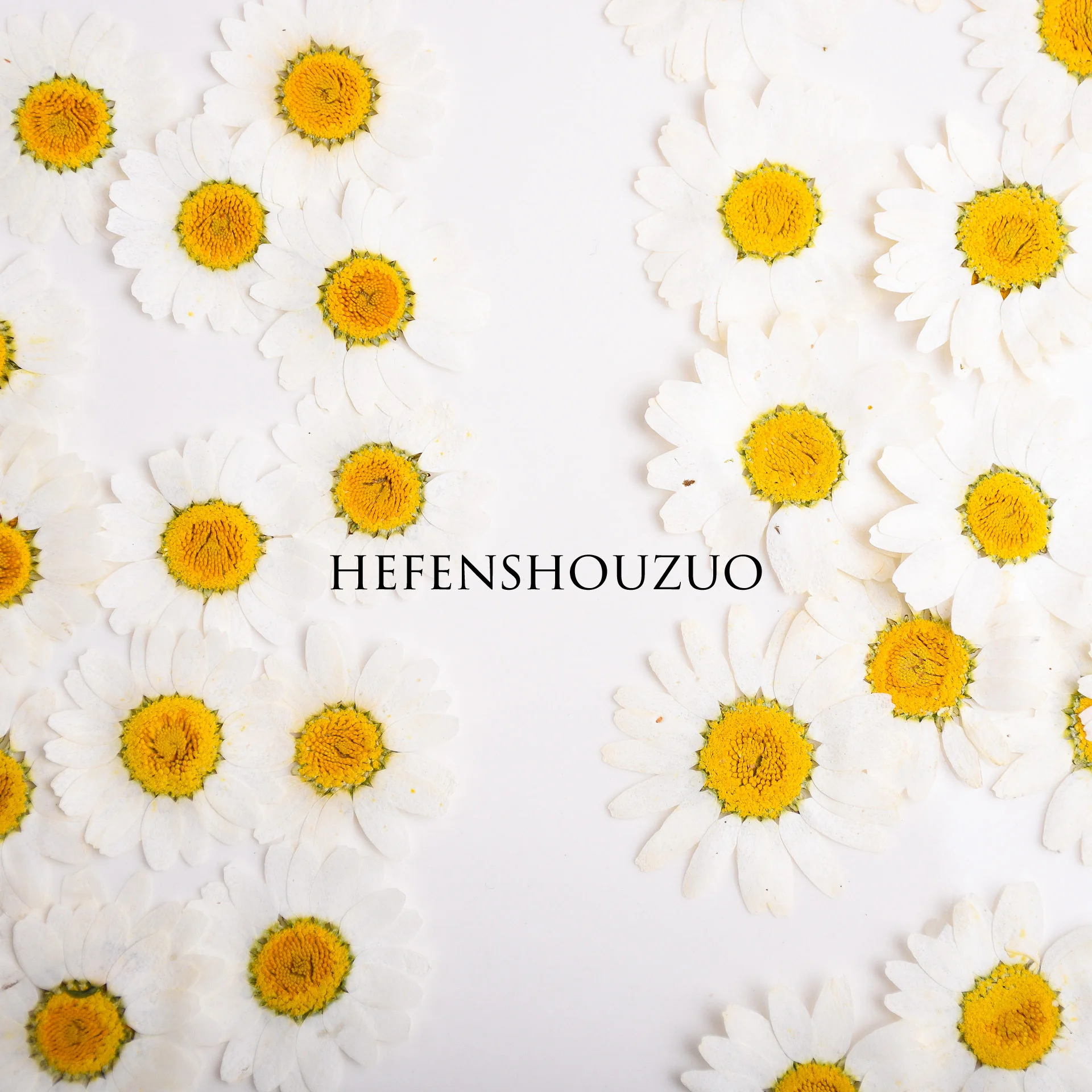 100Pcs Pressed White Crystal Chrysanthemum Mini Mixed Size Real Flowers for DIY Materials, Flat Plant Specimens, Small Daisies for Face Decoration, Resin Art