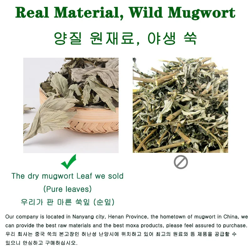 Daun Apsintus Alami Daun Mugwort Murni Masker Terapi Ramuan Moxa Moksibusi Mandi Kaki Pijat Relaksasi Tubuh Perawatan Kesehatan 500G/Tas