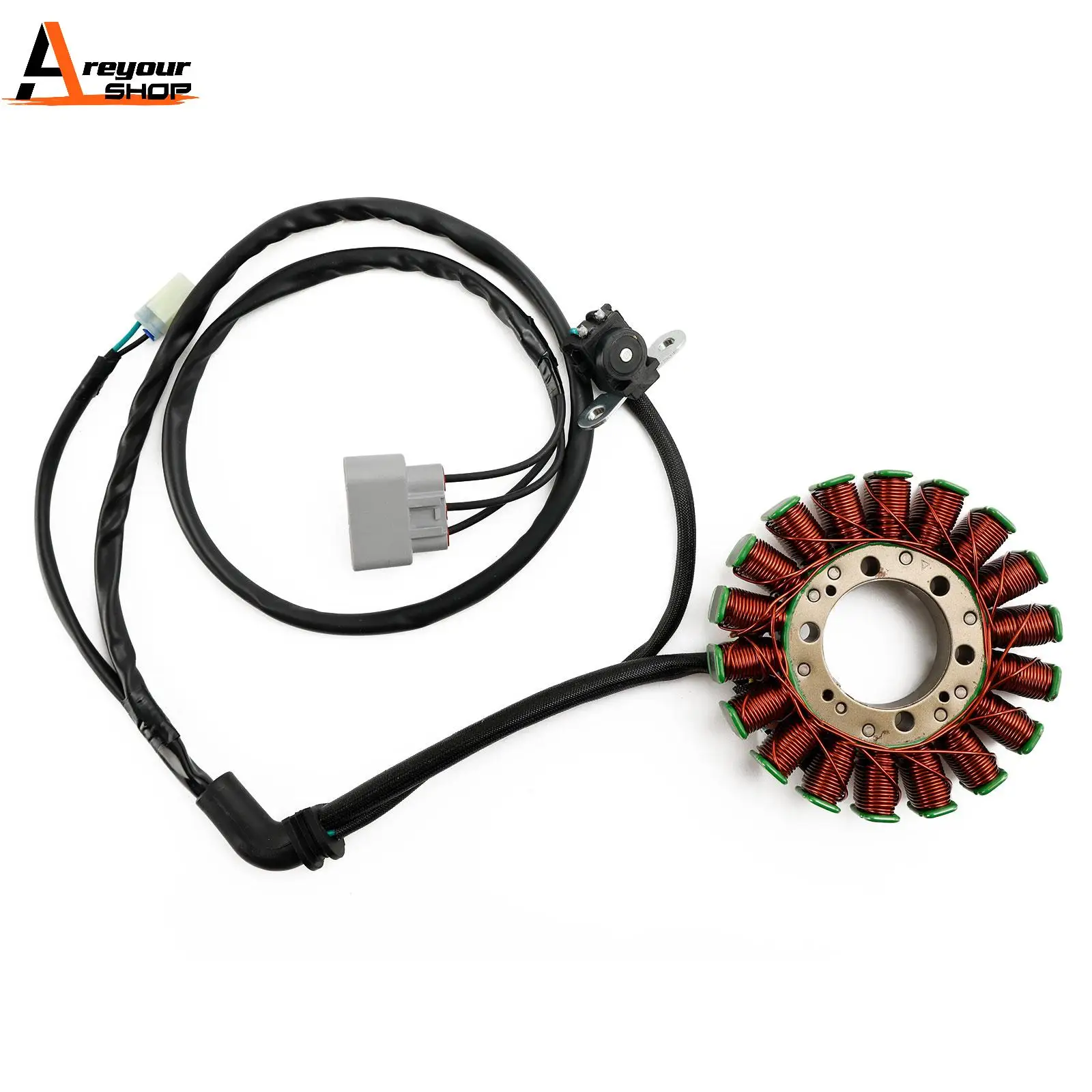 18 Poles Stator Generator for Tiger 800 XC XCA XCX XR XRX 2011-2020 T1305965