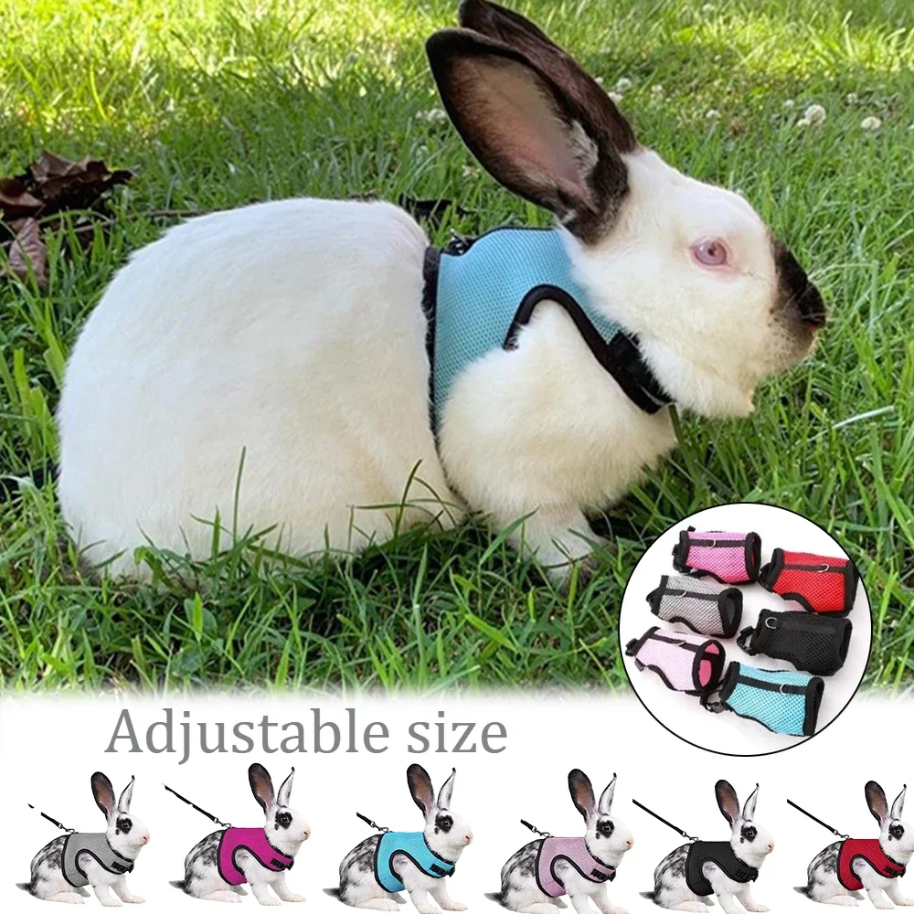 

Rabbit Leash Small Vest Pettom Bunny Harness with Stretchy Cute Adjustable Buckle Breathable Vest Harness and Set for Kitten