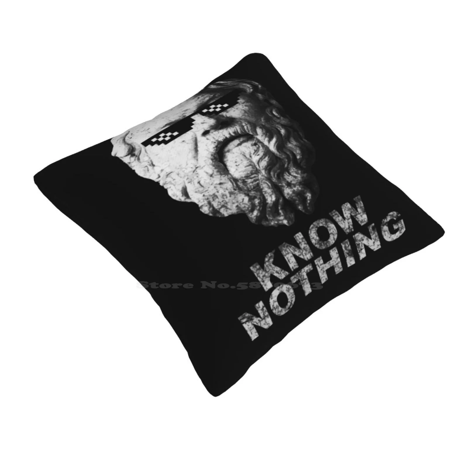 Know Nothing Pillow Cover Hug Pillowcase Socrates Philosopher Deal With It Smart Skeptic Know Nothing Optimistic Nihilist