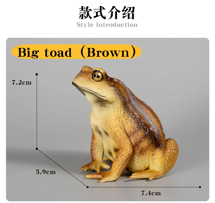 Pädagogische realistische Krötenfrosch-Figur, handbemaltes Wildtier, Insektenfigur, Gummi-Tiermodell, Spielzeug für Kinder – Detail 3