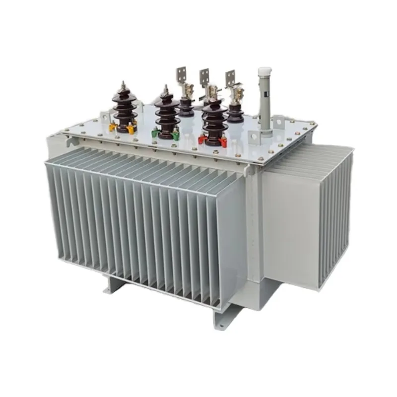 Customized Factory Direct Sale Of 800kVA Oil-immersed Three-phase Transformer Outdoor Use