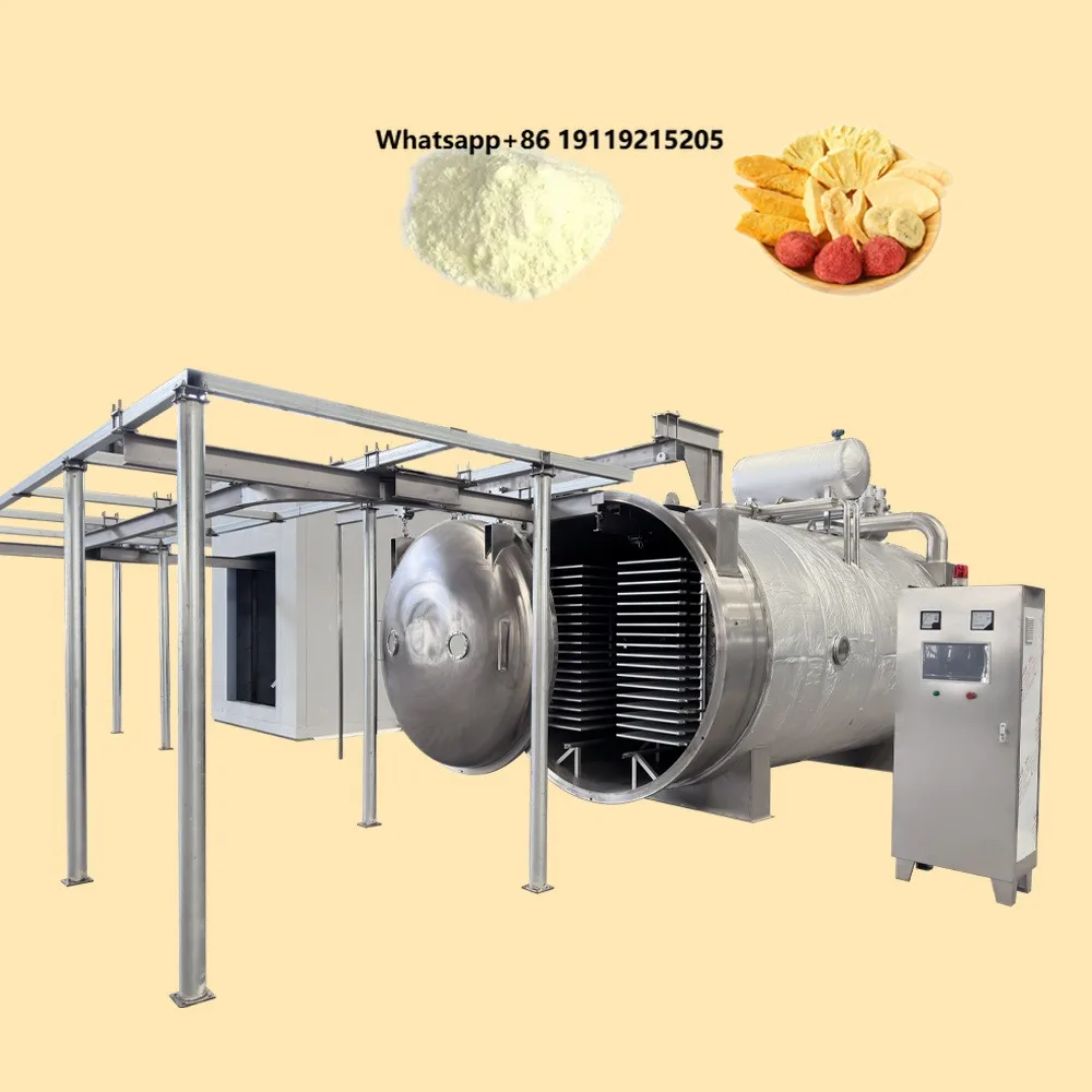 Commercial Freeze Drying Machine Sublimation Condensation Dryer Vacuum Lyophilizer Price Freeze Dryer with Factory Price